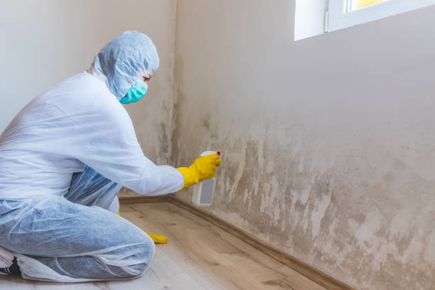 Bathroom Mold Removal assessment in Westville bathroom